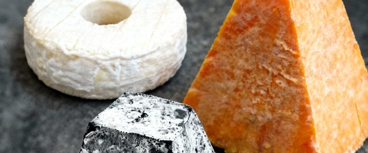 Cata evolutiva Quesos lácticos